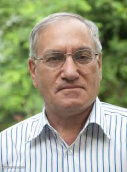 سید بیوک محمدی